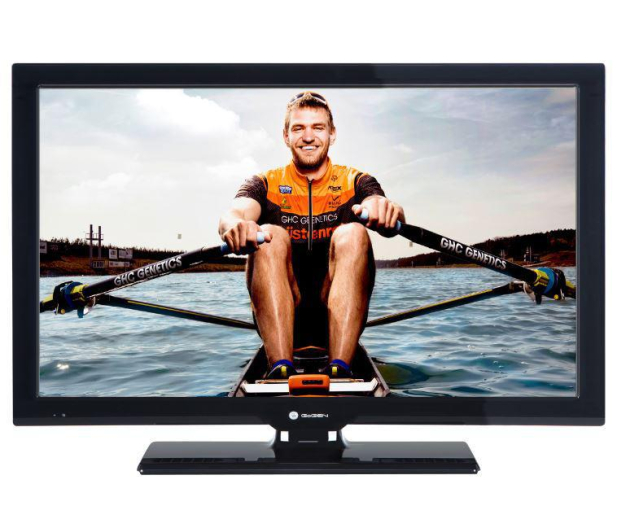 Gogen TV GOGEN 24" TVH24P202T HD # - 1379088 - zdjęcie